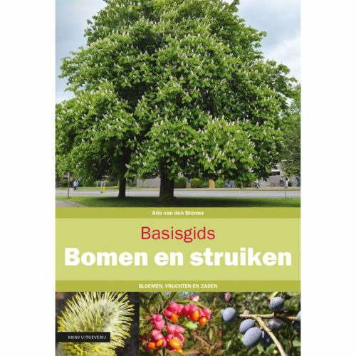 Basisgids Bomen en struikenArie van den Bremer KNNV Uitgeverij