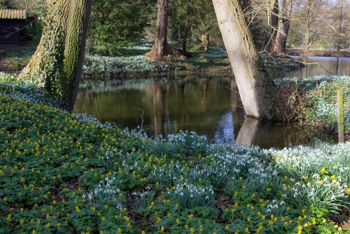 Sneeuwklokjesweekend De Wildenborch