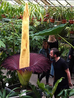 Lezing Plantenblindheid Arboretum Kalmthout