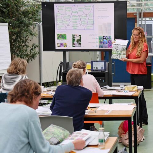 Workshop Beplant je eigen tuin