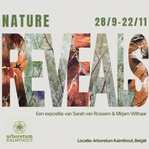 Tentoonstelling Nature Reveals Arboretum Kalmthout Mirjam Withaar Sarah van Rossem